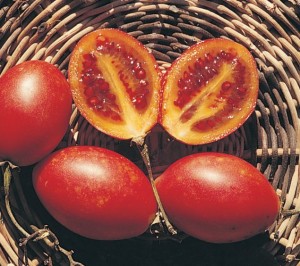 Frutti del tamarillo