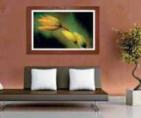 colquadro