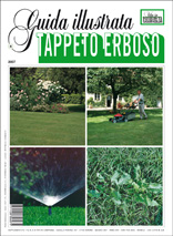 cop_tappeto_erboso