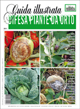 cop-difesa-piante-da-orto