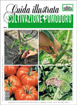 copertina_sup_home_rivista