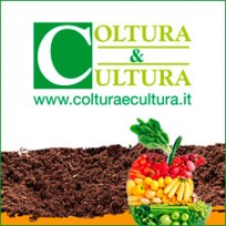 coltura_cultura_agricoltura_italiana_cibo