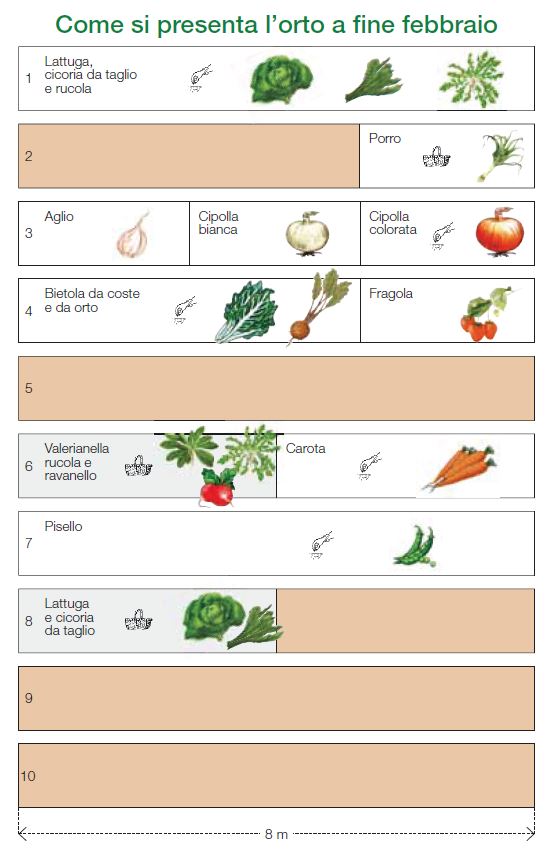 Orto 100 mq fine febbraio