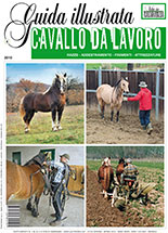 Vita in Campagna Guida illustrata Cavallo da Lavoro Ottobre 2014