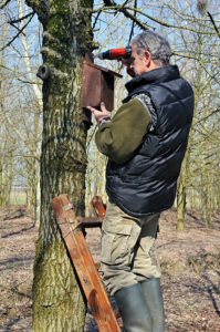 Collocazione-nido-a-cassetta-giardino-vita-in-campagna-uccelli-osservazione-birdwatching