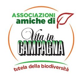 EIA10116-LogoAssAmicheVic04
