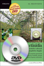 dvd actnidia cita in campagna edizioni informatore agrario