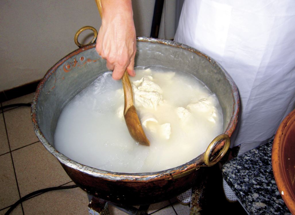 Preparazione del formaggio fatto in casa