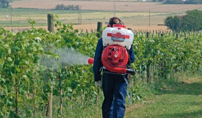 Concimazione con irroratrice a spalla su vigneto