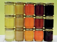Varietà diverse di miele. L'utilizzo in cucina può compromettere le sue proprietà.