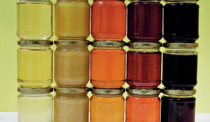Varietà diverse di miele. L'utilizzo in cucina può compromettere le sue proprietà.