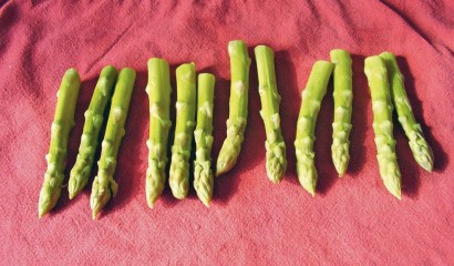 Asparagi