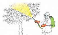 Illustrazione di concimazione del melo con irroratrice a spalla