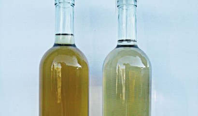 Il vino contenuto nella bottiglia di sinistra si è ossidato dopo 24 ore dal travaso. Per la conservazione del vino bisogna aggiungere metabisolfito di potassio prima del travaso.