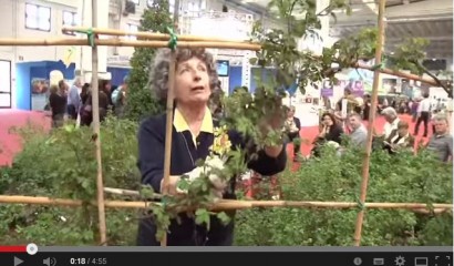 Anna Furlani Pedoja spiega la coltivazione e la potatura delle rose