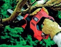 Scorpion della Black & Decker