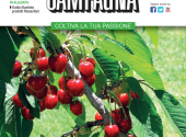 copertina vita in campagna maggio 2015