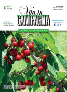 copertina vita in campagna maggio 2015