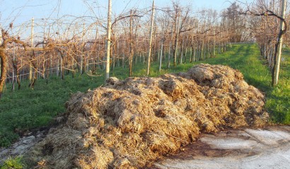 Cumulo di letame in campo