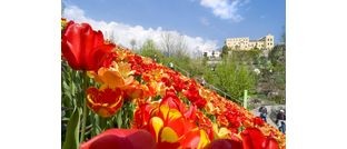 I giardini di Sissi