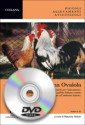 DVD – LA GALLINA OVAIOLA