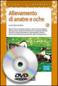 DVD – ALLEVAMENTO DI ANATRE E OCHE