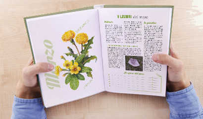 Agenda