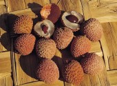 Litchi