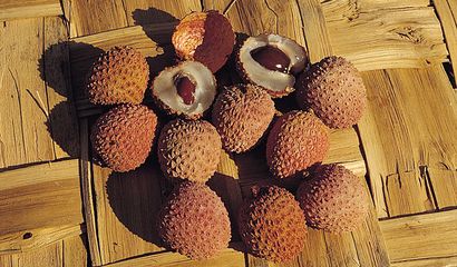 Litchi