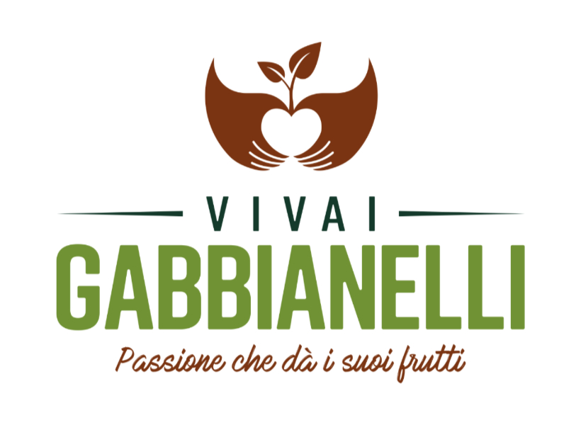 GABBIANELLI_logo_CMYK