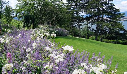 Giardino aria aperta Vita in Campagna