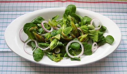 insalata foglie di tiglio