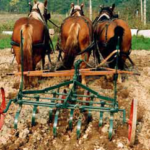 Coltivatore da pieno campo