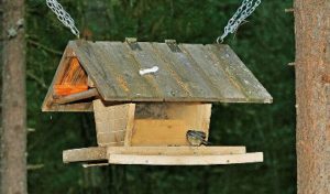 Come Costruire Una Mangiatoia Per Uccelli Selvatici Vita In Campagna
