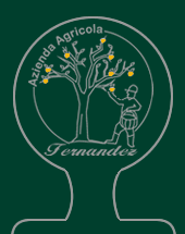 Fernandez_logo