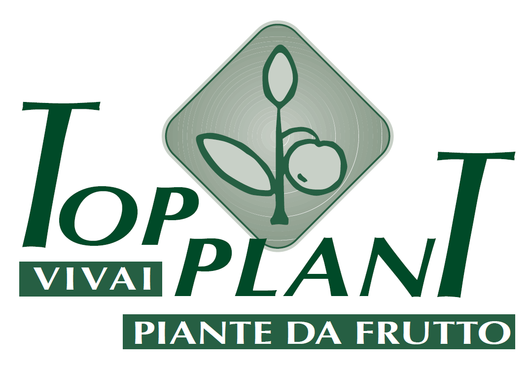 logo-top-plant