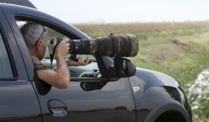 maurizio-bonora-birdwatching-fotografia-naturalistica-uccelli-campagna