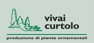 Curtolo