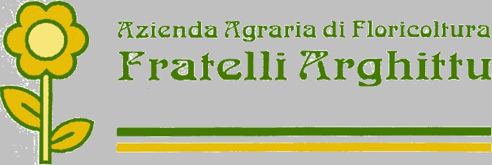 logo-azienda