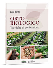 orto_bio_biologico_vita_in_campagna