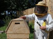 Alessandro Pistoia Apicoltura Beekeeping Beekeeper