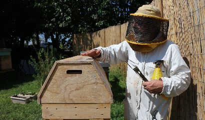 Alessandro Pistoia Apicoltura Beekeeping Beekeeper