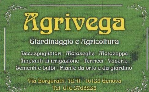 logogiusto