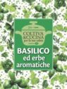 BASILICO ED ERBE AROMATICHE