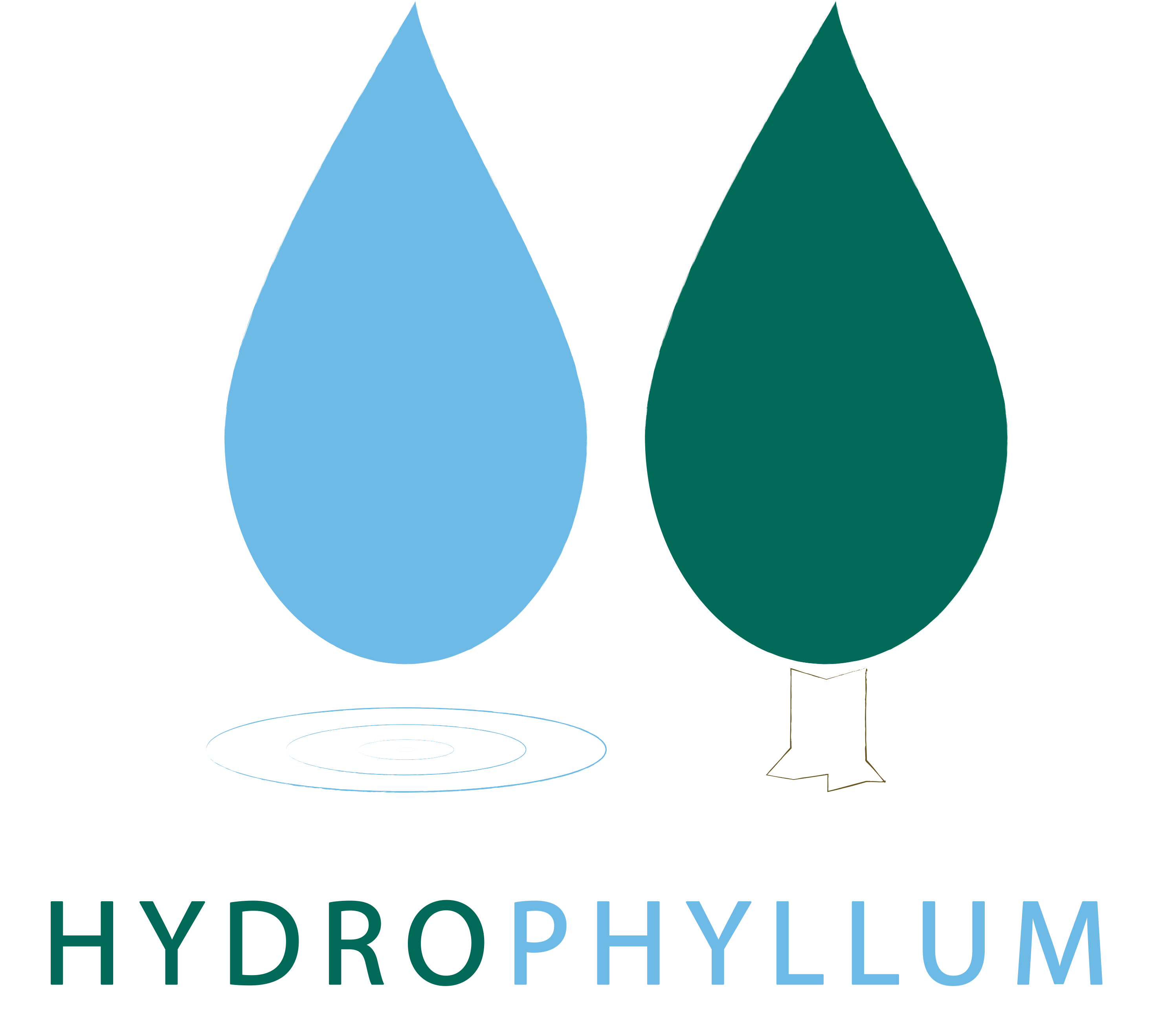 logonosfondo-hydrophyllum