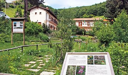 Cartellonistica Piante Officinali Orto Botanico Monte Baldo