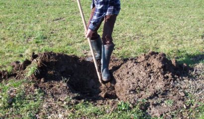 scasso a buche impianto nuovo albero da frutto vita in campagna