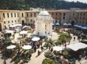 Ancona flower show