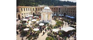 Ancona flower show