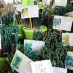 fiera_vita_in_campagna_marzo_2018_montichiari_brescia_gallery_sito_09